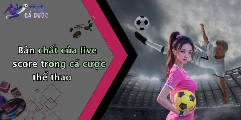 Bản chất của live score trong cá cược thể thao