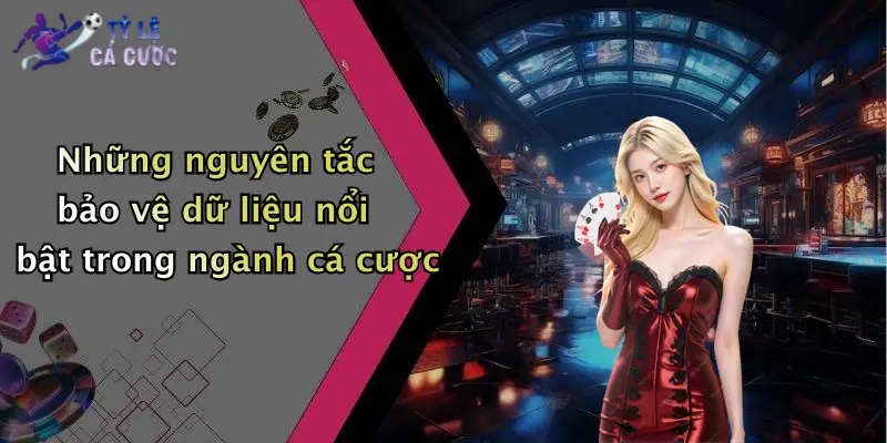 Những nguyên tắc bảo vệ dữ liệu nổi bật trong ngành cá cược