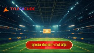 Dự đoán bóng đá chính xác 100: Nghệ thuật phân tích và chiến thuật từ chuyên gia