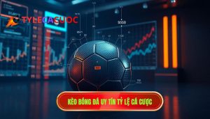 Cách đọc tỷ lệ kèo bóng đá chuẩn xác nhất cho người mới bắt đầu